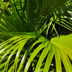 成人男女色色网站
